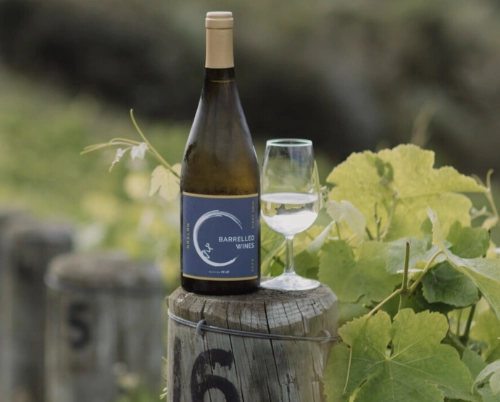 Barrelled Wines, Raglan, NZ, 2025, profile