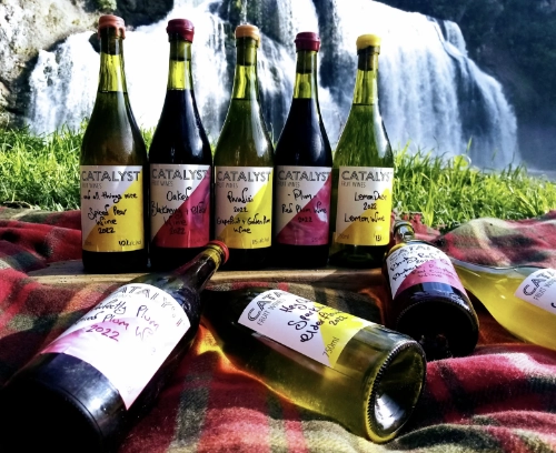 Catalyst Fruit Wines, NZ, 2025, profile