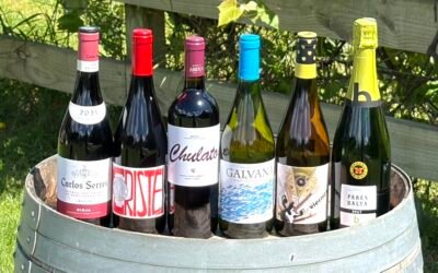 Spanish Wine Tasting