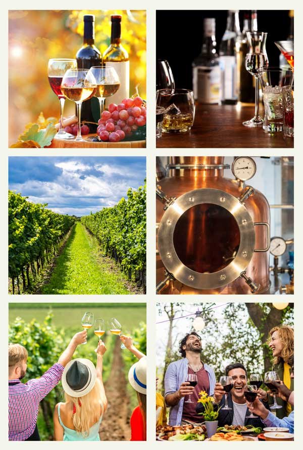 Tasting-Grid-comp-600px Wine and Spirits tasting in Raglan, NZ