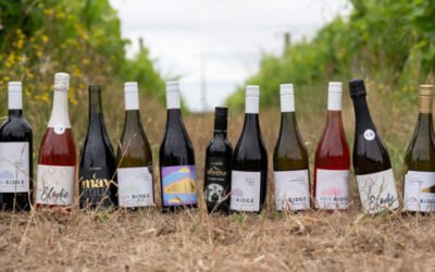 Organic Magic at Ash Ridge